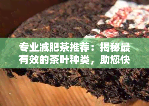 专业减肥茶推荐：揭秘最有效的茶叶种类，助您快速达成瘦身目标