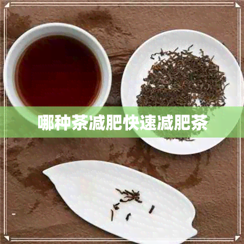 哪种茶减肥快速减肥茶