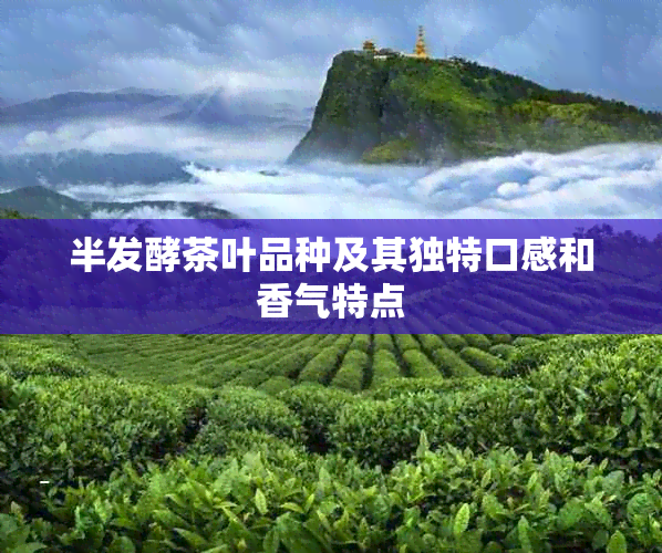 半发酵茶叶品种及其独特口感和香气特点