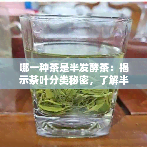 哪一种茶是半发酵茶：揭示茶叶分类秘密，了解半发酵茶叶特点