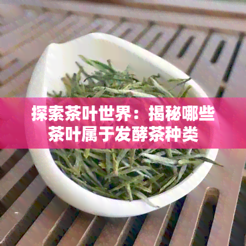 探索茶叶世界：揭秘哪些茶叶属于发酵茶种类