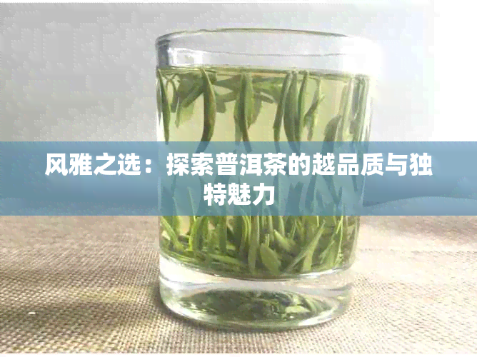 风雅之选：探索普洱茶的越品质与独特魅力