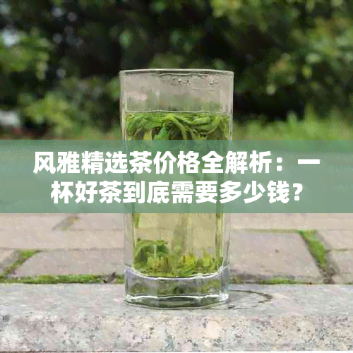 风雅精选茶价格全解析：一杯好茶到底需要多少钱？