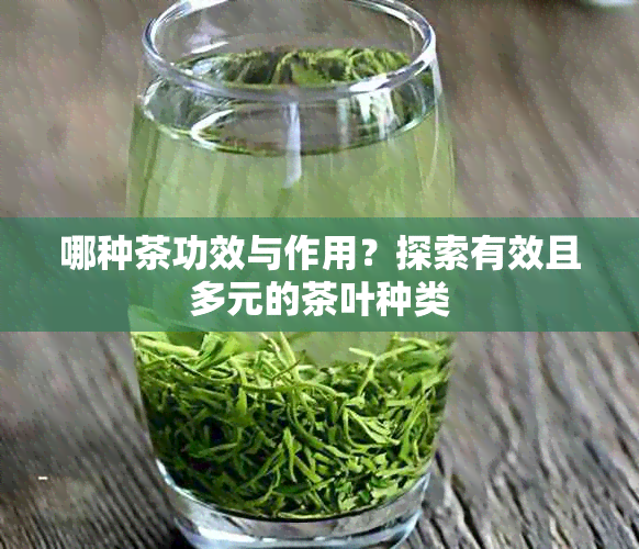 哪种茶功效与作用？探索有效且多元的茶叶种类