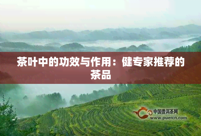 茶叶中的功效与作用：健专家推荐的茶品