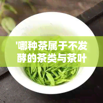 '哪种茶属于不发酵的茶类与茶叶及茶水：全面解析不发酵茶'