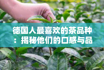 德国人最喜欢的茶品种：揭秘他们的口感与品味