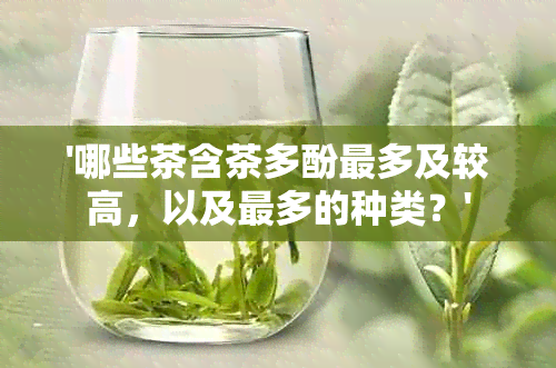 '哪些茶含茶多酚最多及较高，以及最多的种类？'