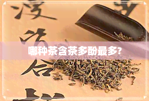 哪种茶含茶多酚最多?