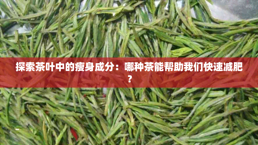 探索茶叶中的瘦身成分：哪种茶能帮助我们快速减肥？