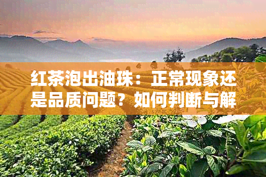 红茶泡出油珠：正常现象还是品质问题？如何判断与解决？