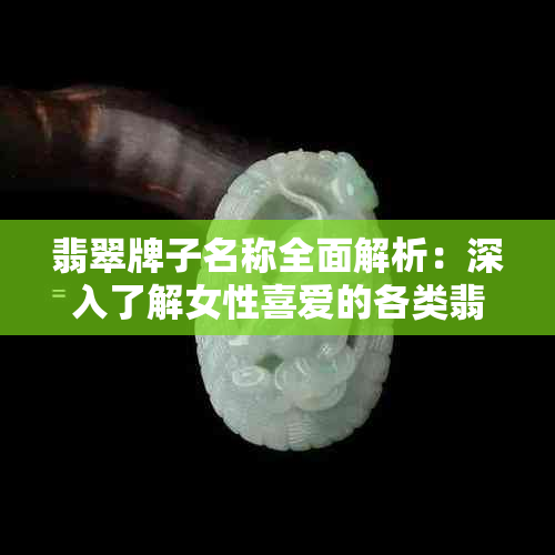 翡翠牌子名称全面解析：深入了解女性喜爱的各类翡翠饰品