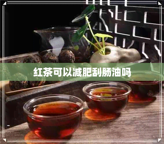 红茶可以减肥刮肠油吗