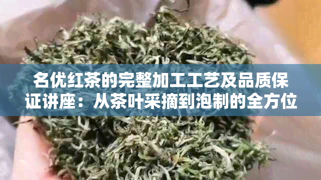 名优红茶的完整加工工艺及品质保证讲座：从茶叶采摘到泡制的全方位解析