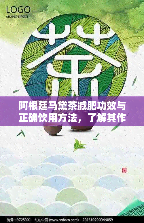 阿根廷马黛茶减肥功效与正确饮用方法，了解其作用与成分。