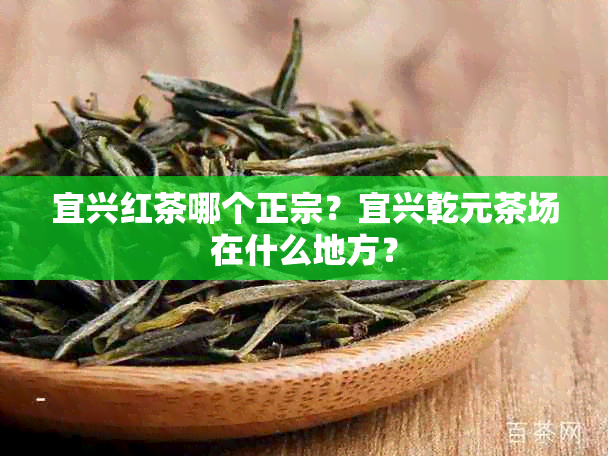 宜兴红茶哪个正宗？宜兴乾元茶场在什么地方？