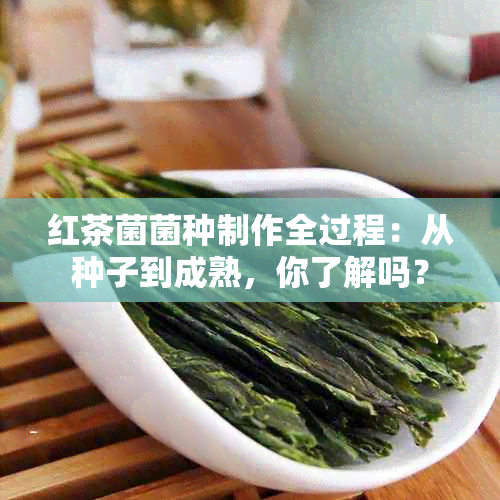 红茶菌菌种制作全过程：从种子到成熟，你了解吗？