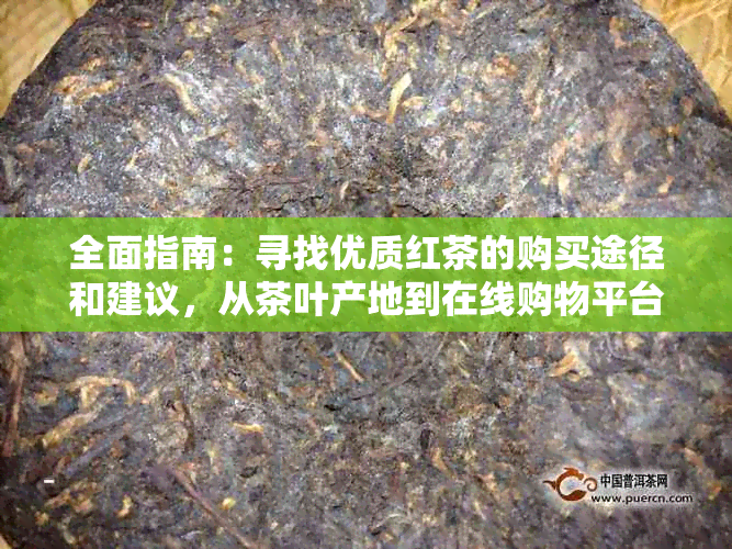 全面指南：寻找优质红茶的购买途径和建议，从茶叶产地到在线购物平台