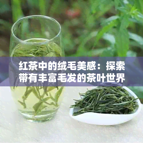 红茶中的绒毛美感：探索带有丰富毛发的茶叶世界