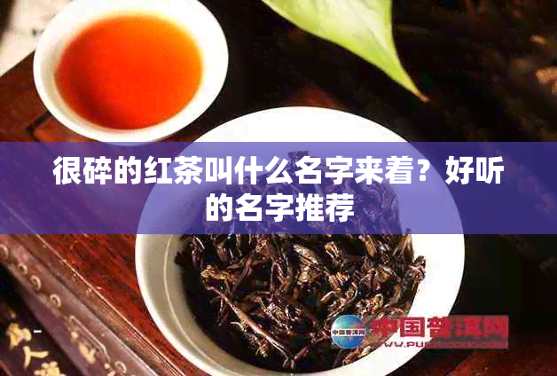 很碎的红茶叫什么名字来着？好听的名字推荐