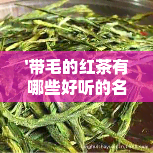 '带毛的红茶有哪些好听的名字？'