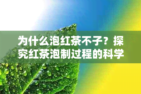 为什么泡红茶不子？探究红茶泡制过程的科学原理与技巧