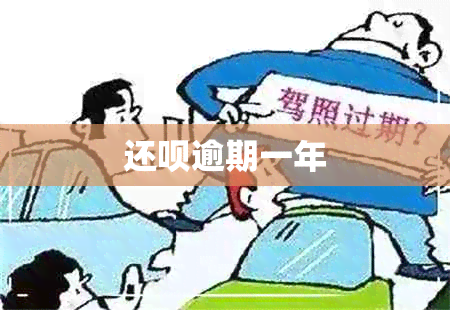 还呗逾期一年