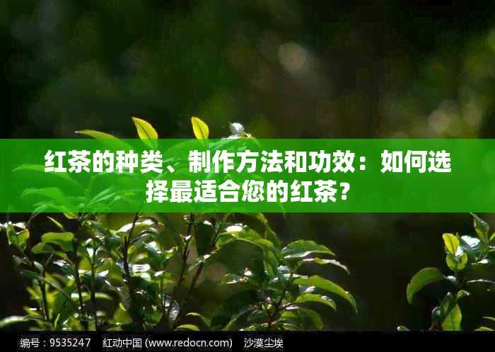 红茶的种类、制作方法和功效：如何选择最适合您的红茶？