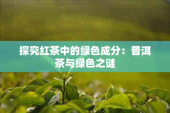 探究红茶中的绿色成分：普洱茶与绿色之谜