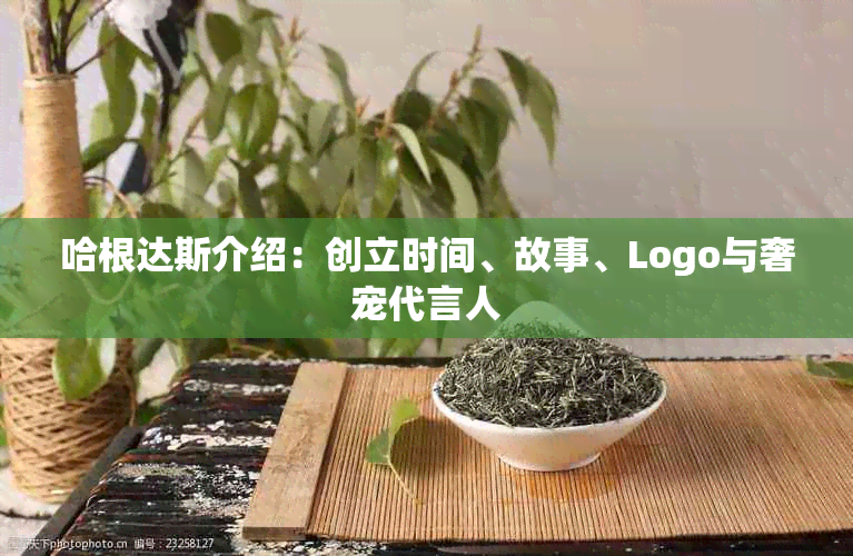 哈根达斯介绍：创立时间、故事、Logo与奢宠代言人