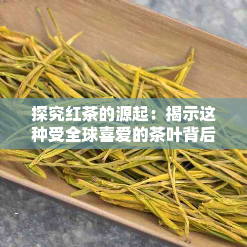 探究红茶的源起：揭示这种受全球喜爱的茶叶背后的植物奥秘