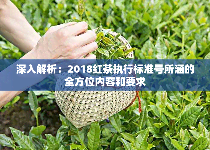 深入解析：2018红茶执行标准号所涵的全方位内容和要求