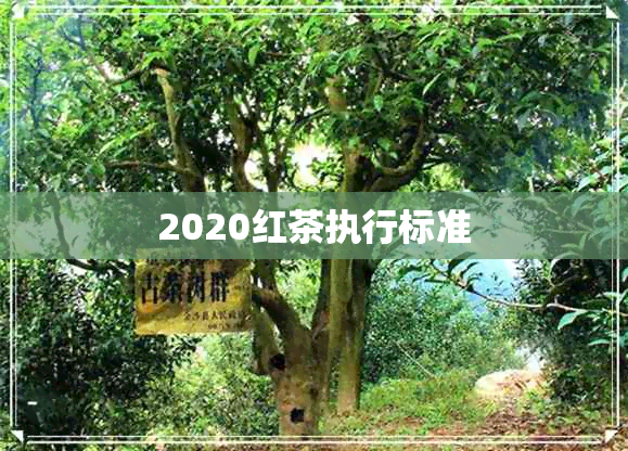 2020红茶执行标准