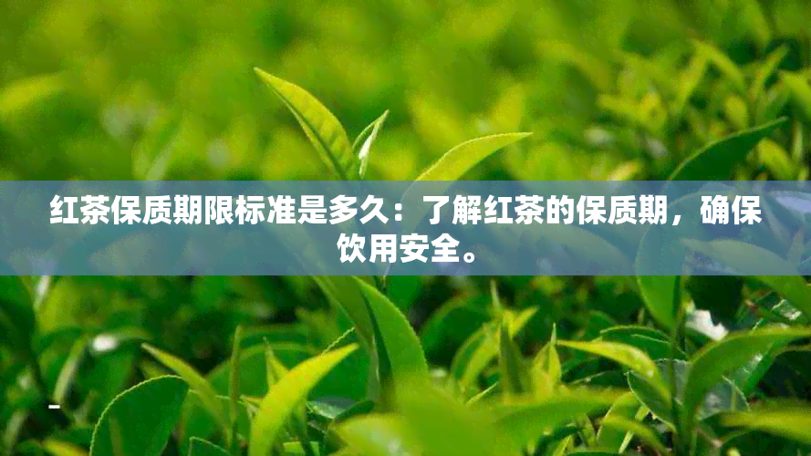 红茶保质期限标准是多久：了解红茶的保质期，确保饮用安全。