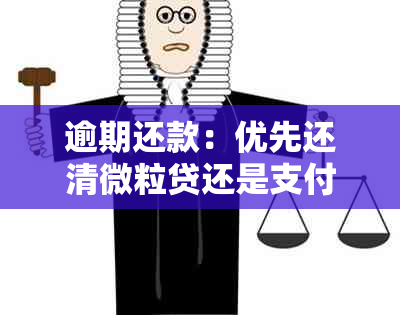 逾期还款：优先还清微粒贷还是支付宝？信用卡与支付宝的还款顺序如何确定？