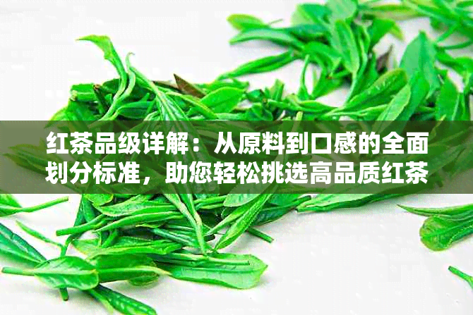 红茶品级详解：从原料到口感的全面划分标准，助您轻松挑选高品质红茶