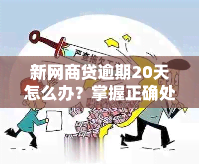 新网商贷逾期20天怎么办？掌握正确处理方法避免罚息！