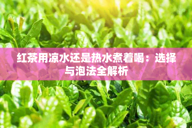 红茶用凉水还是热水煮着喝：选择与泡法全解析