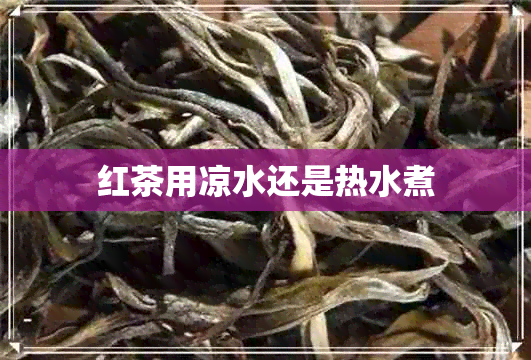 红茶用凉水还是热水煮