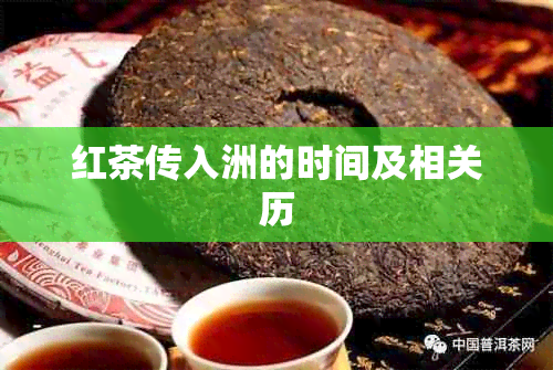 红茶传入洲的时间及相关历