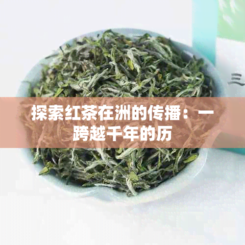 探索红茶在洲的传播：一跨越千年的历