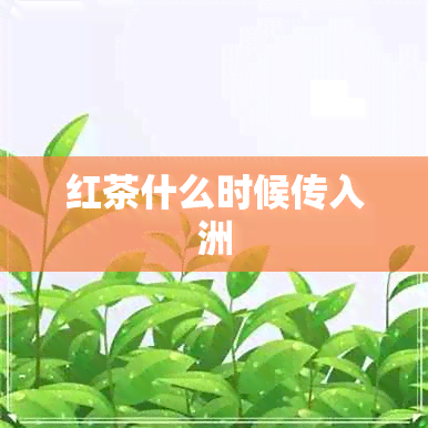 红茶什么时候传入洲