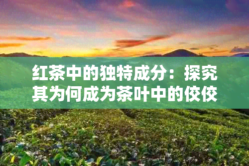 红茶中的独特成分：探究其为何成为茶叶中的佼佼者