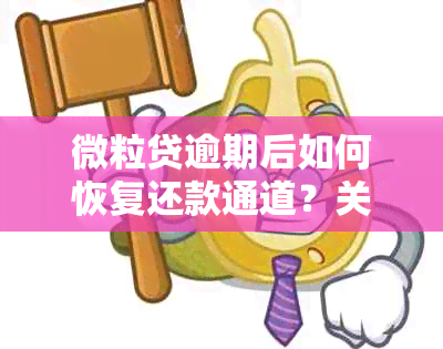 微粒贷逾期后如何恢复还款通道？关闭后重新开启的完整步骤解析