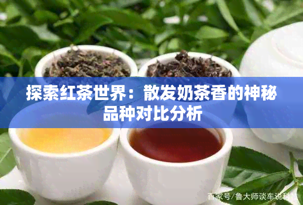 探索红茶世界：散发奶茶香的神秘品种对比分析