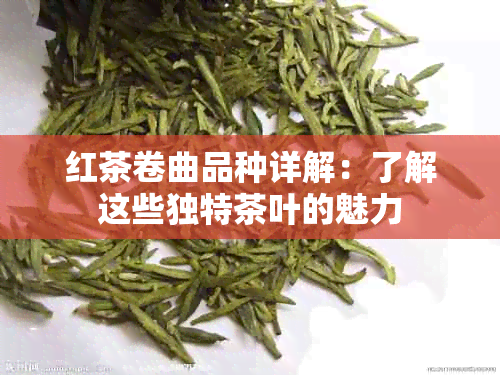 红茶卷曲品种详解：了解这些独特茶叶的魅力