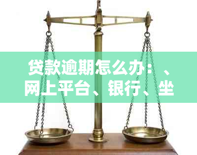 贷款逾期怎么办：、网上平台、银行、坐牢、刑事案件情况分析