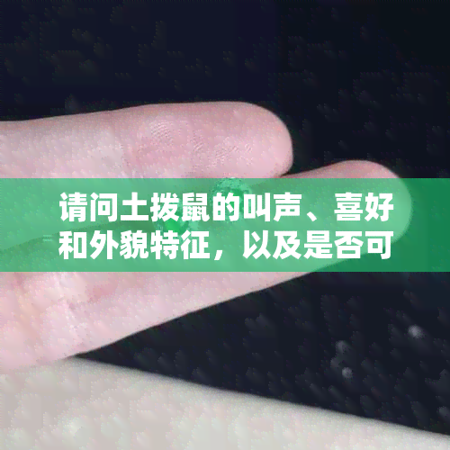 请问土拨鼠的叫声、喜好和外貌特征，以及是否可以用PVC管制作窝。