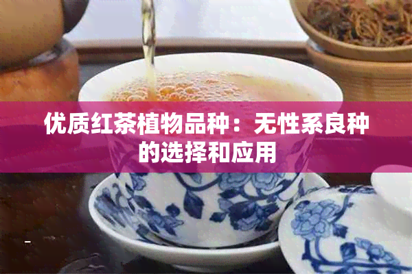 优质红茶植物品种：无性系良种的选择和应用