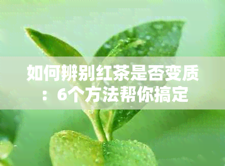 如何辨别红茶是否变质：6个方法帮你搞定